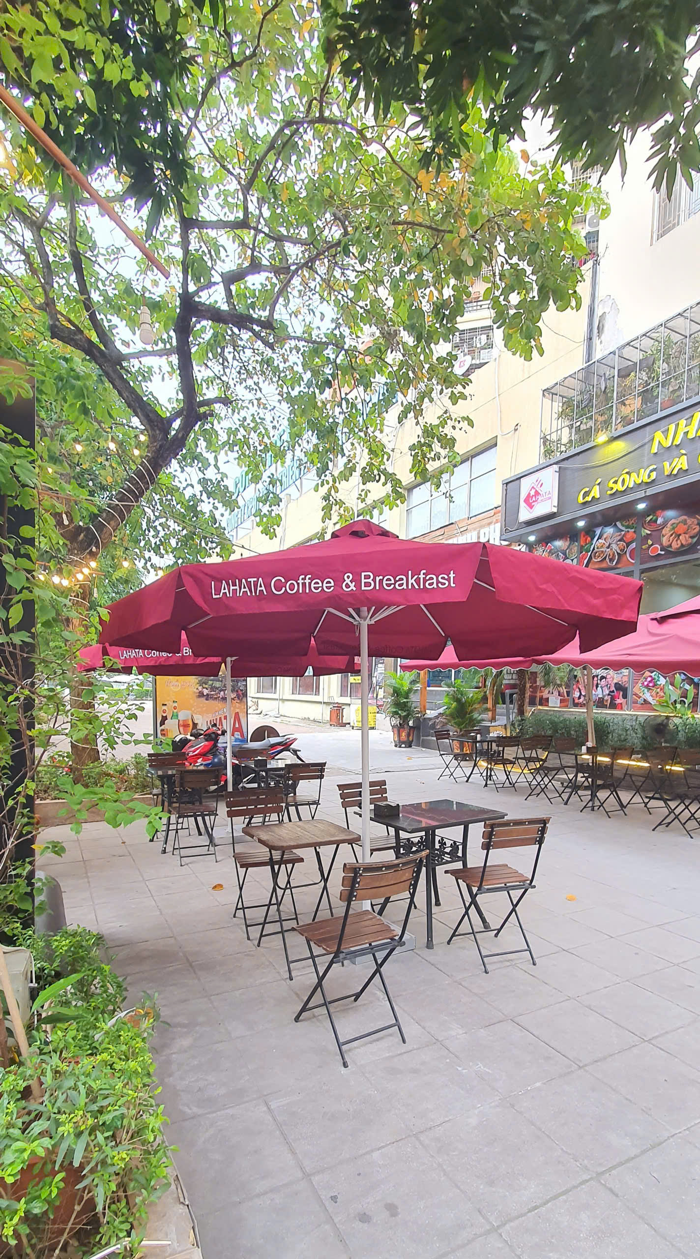 z7186651112157_0271ca10bccbef7a1a8566f86bf491ae